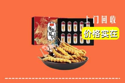 呼伦贝尔市根河回收冬虫夏草